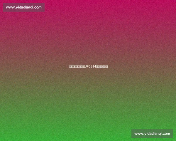 乔恩琼斯挑战科米尔争夺UFC214冠军之战精彩回顾 乔恩琼斯挑战科米尔争夺UFC214冠军之战精彩回顾